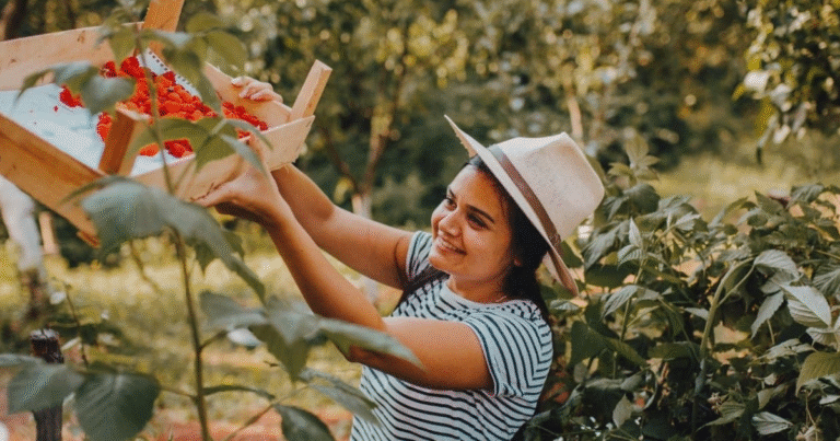 Croatia Fruit Picker Jobs for Foreigners 2025
