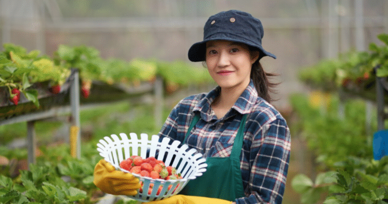 300+Farm Worker Jobs and Work Opportunities in Canada July 2025