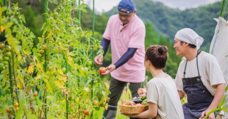 Fruit Picking Jobs Employment in United States July 2025