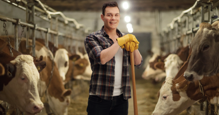 Jobs in Australia Beef Farm Worker