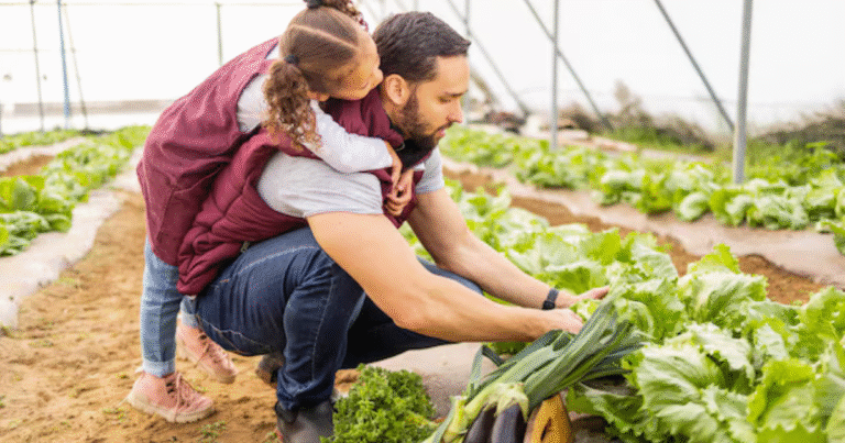 Fruit Vegetable Picker 200+jobs in Canada Aug 2025