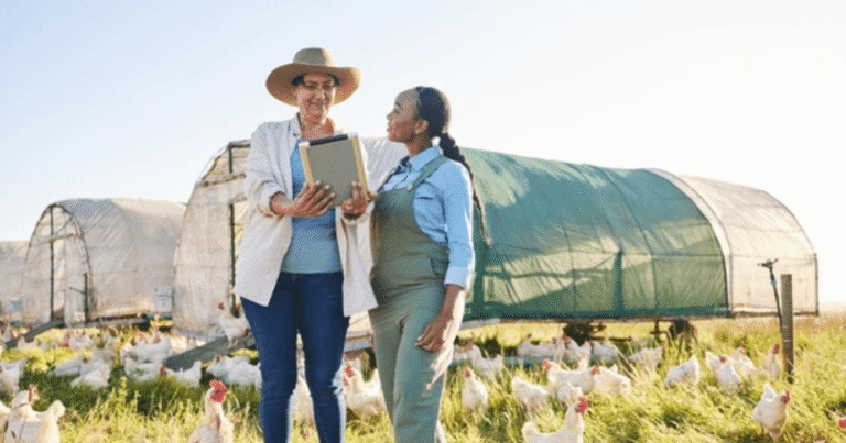 Poultry Farm Worker 500+Jobs in Canada