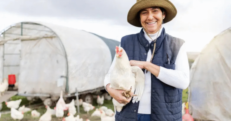 Poultry farm Jobs in United States September 2025
