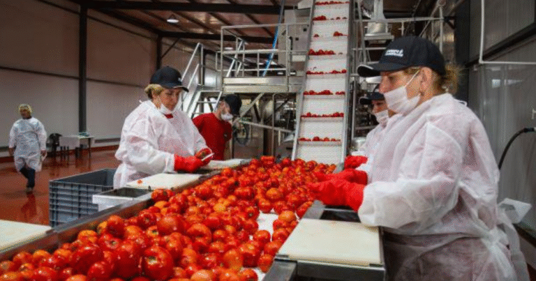 Jobs in Poland Producing Ketchup and Fruit Farms