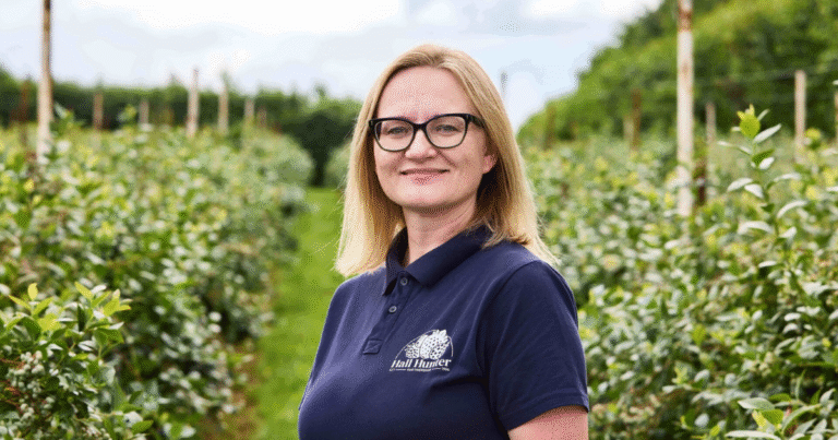 Orchard Harvesting Jobs In USA September 2025