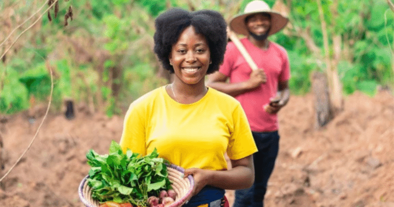 General farm worker 417+jobs in United States