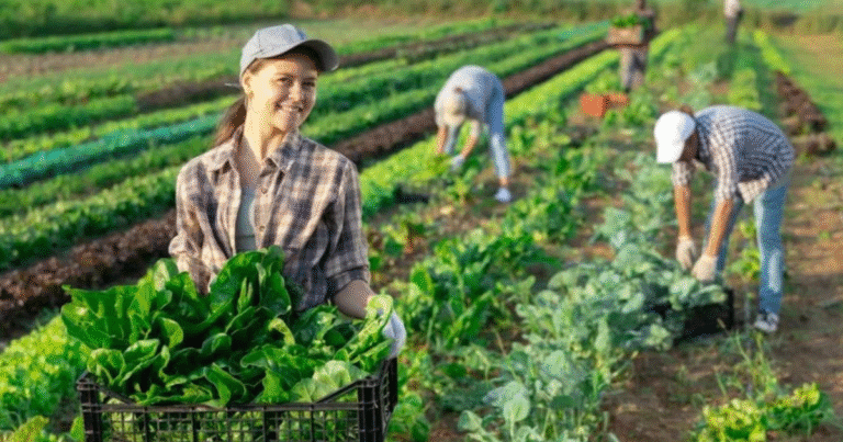 General Farm Worker Jobs in UK September 2025