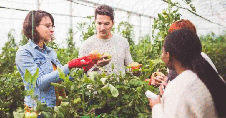 Work Visa Agricultural Farming Jobs in Canada 2025