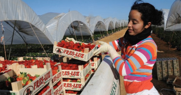 Spain Seasonal Worker Visa 2025 Seasonal Visa