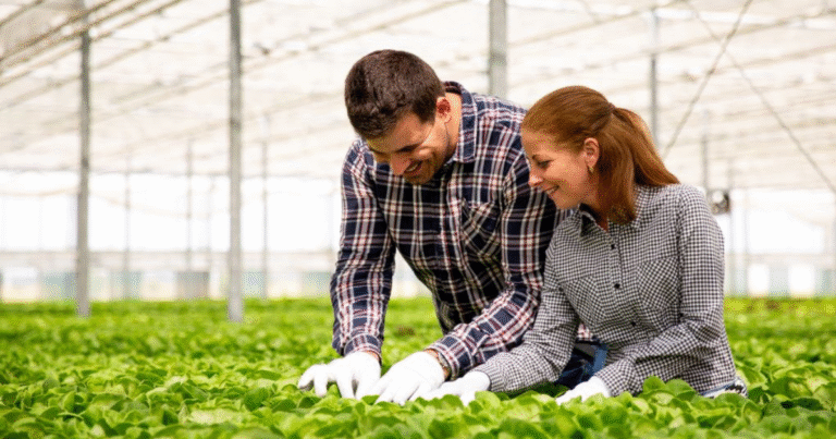 Grain Farm Worker Jobs in Canada with LMIA 2025 Apply Now