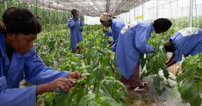 Agricultural & Seasonal Jobs in Finland