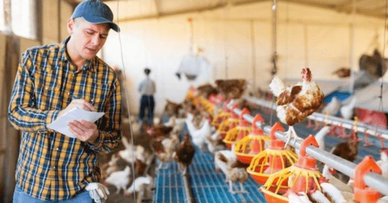 Poultry Farm Worker Jobs in Canada Oct 2025