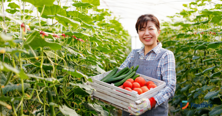 Tomato Picking Jobs in Poland Nov 2025