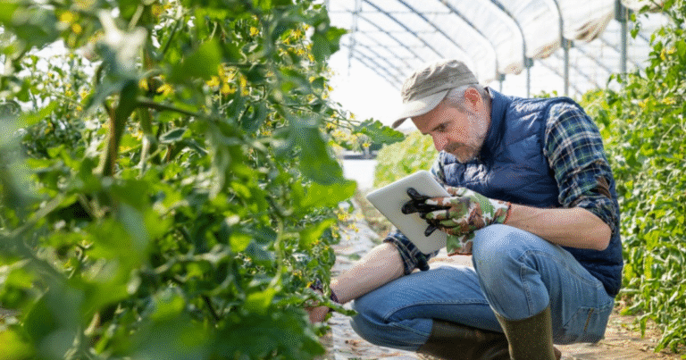 Farm 200+Jobs in Canada for Foreigners Nov 2025