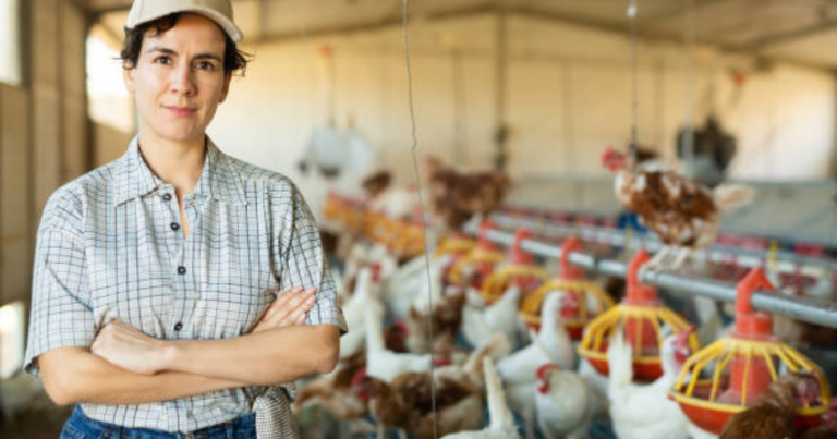 Jobs in the United States for Poultry Farm Workers