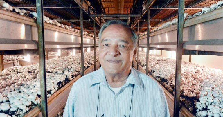 Mushroom Farm Worker Jobs in Canada