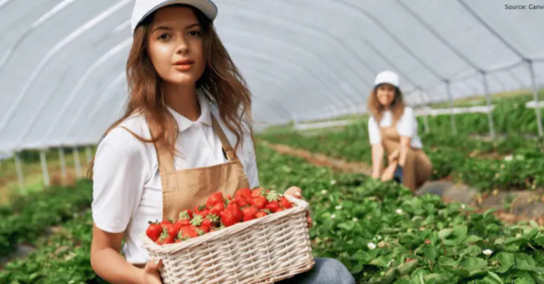 Labourer Fruit Farming Jobs in Canada