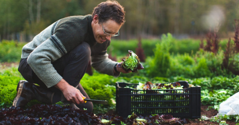 Fruit Farm Worker Jobs in Canada