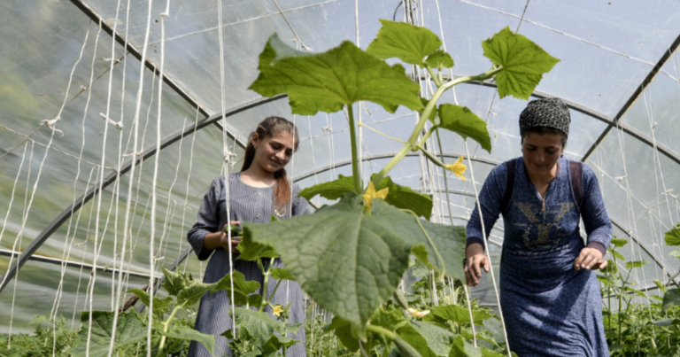 Regional Agriculture Shapes the World Economy