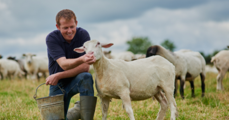 Farm Workers Jobs in Australia Career Guide