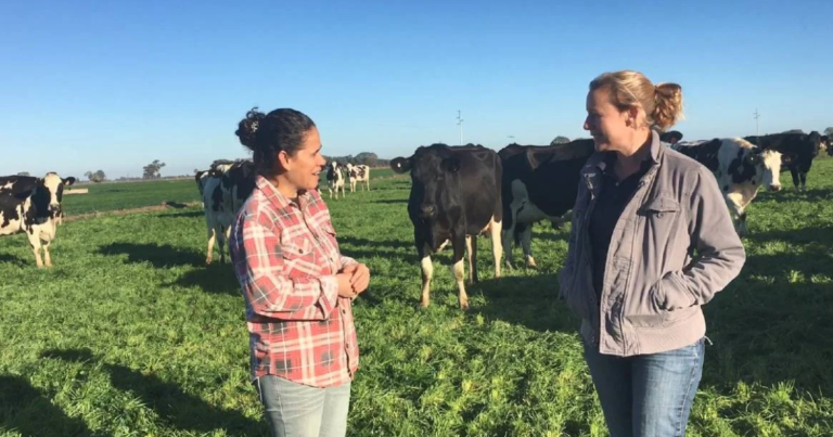 Cow Farm Worker Jobs in Romania
