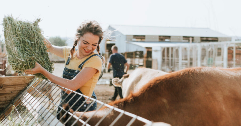 Skilled Jobs in Germany's Livestock Industry Work & Visa