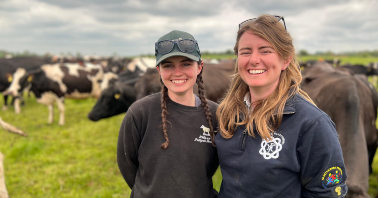 Dairy Farm Employment Opportunities in United Kingdom