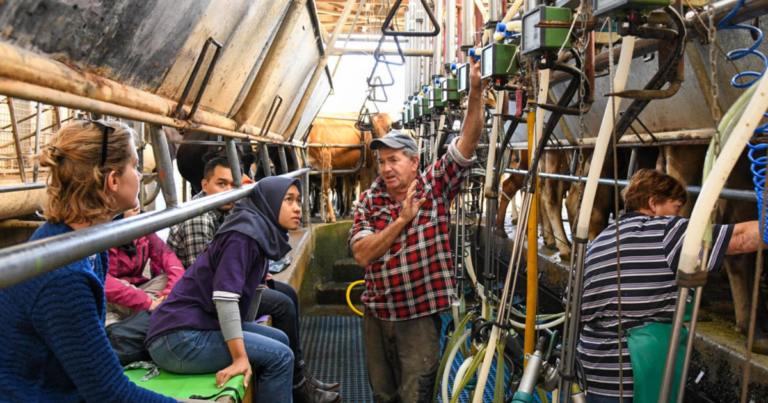 Dairy Farm Employment Opportunities in Australia