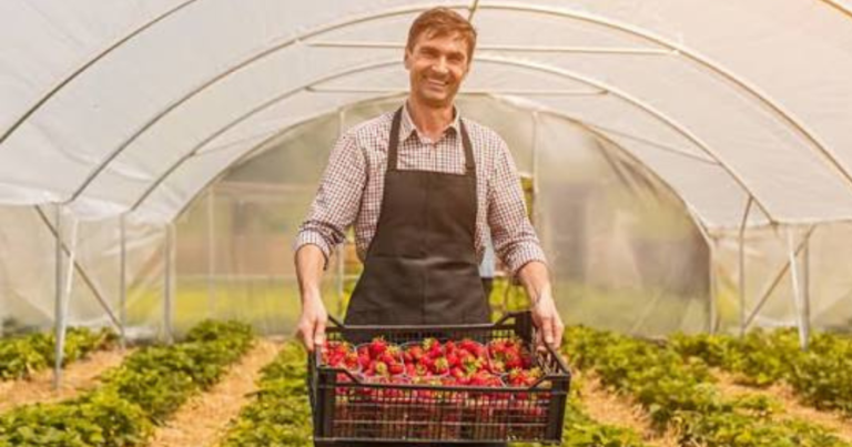 Canada Farm Worker Visa Requirements & How to Apply