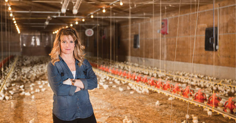 Poultry Farm Worker near Hamilton (ON) Poultry jobs in Canada